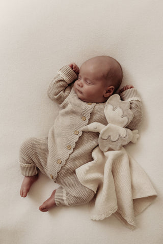 Organic Cotton Luxury Baby Stork Bundle - Pebble/Oat