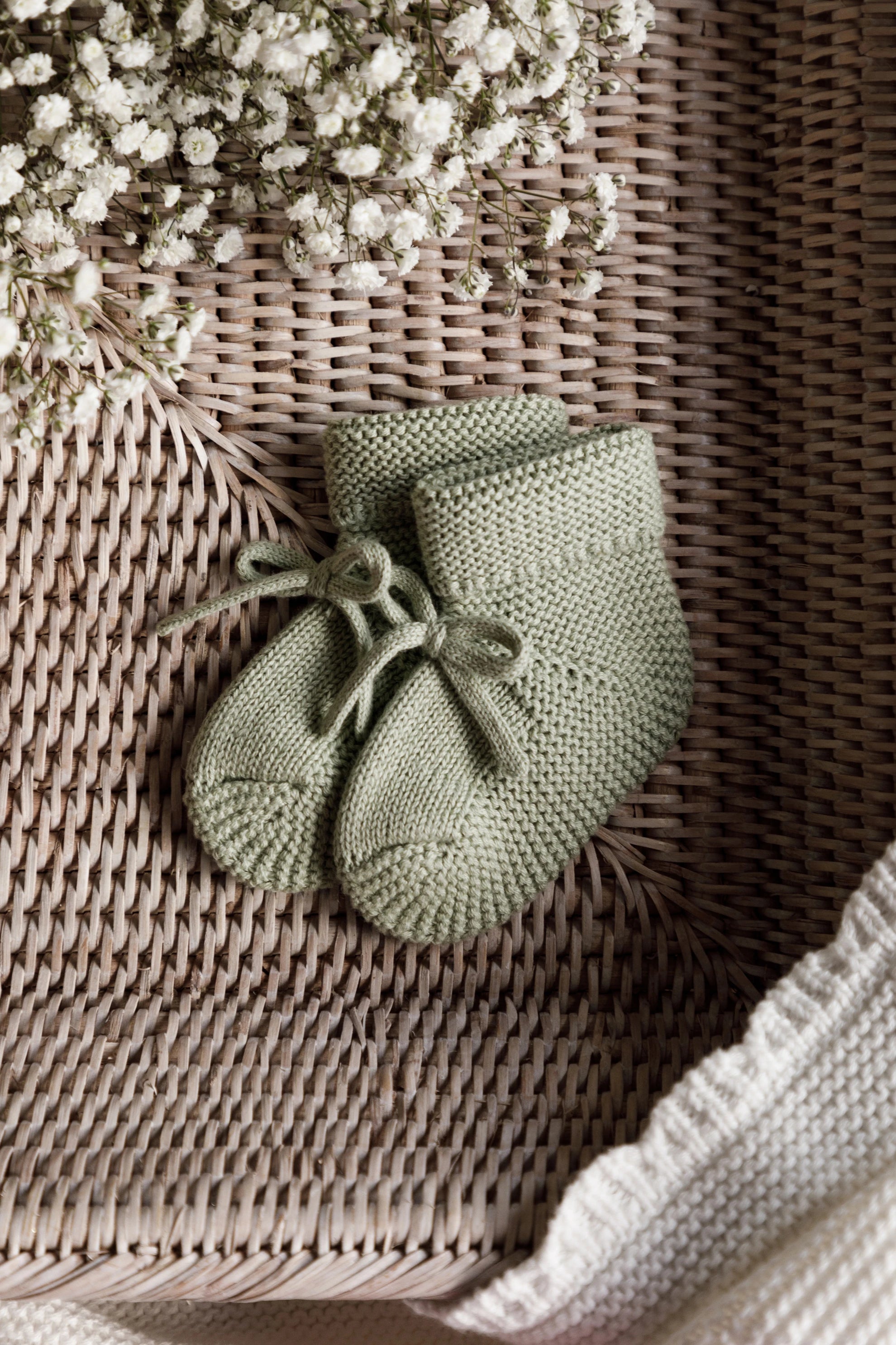 Classic Cotton Knit Pettipants