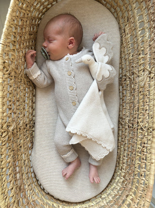 Sleeping baby in moses basket with knitted stork comforter