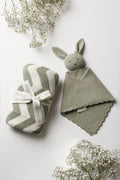 Sage/Cream Chevron