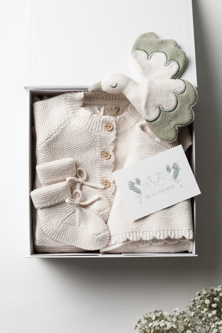 Gift Box, Gift Note, and baby knitwear and stork comforter