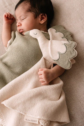 Baby cuddling a knitted stork comforter