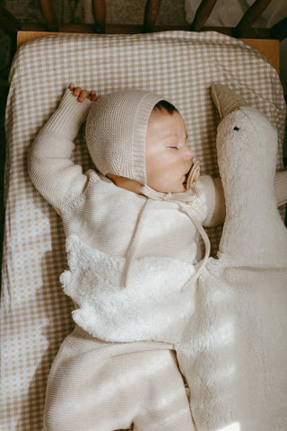 Baby in cot sleeping on a gingham sheet, wearing knitted bonnet, jumper and trousers, with cuddly plush goose