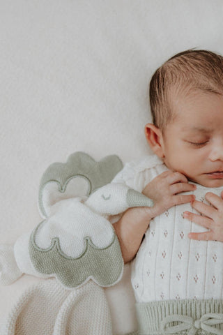 Sleeping baby with oat and sage knitted stork comforter