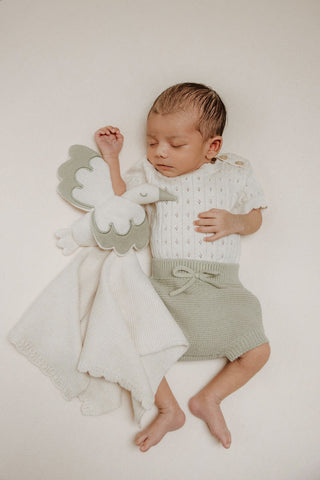 Sleeping Baby with Sleepy Stork Knitted Baby Comforter
