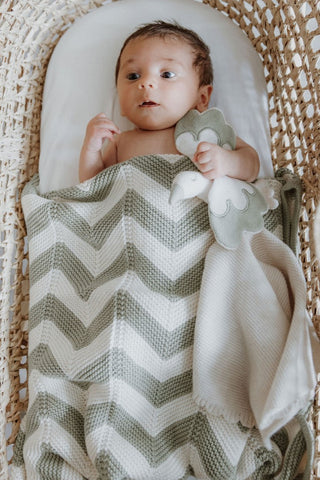 Baby in a Moses Basket with a Knitted Sage and Cream Chevron Stripe Baby Blanket cuddling a matching Stork Baby Comforter